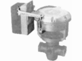 Positioner Spring, Fits 3R 4R 5R and 8R Pneumatic Valve Actuators, 11/16 through 3/4 in. (17 through 19 mm)